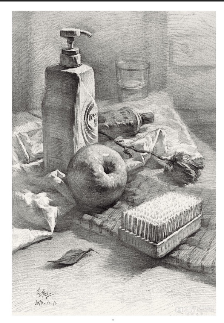 生活类素描静物