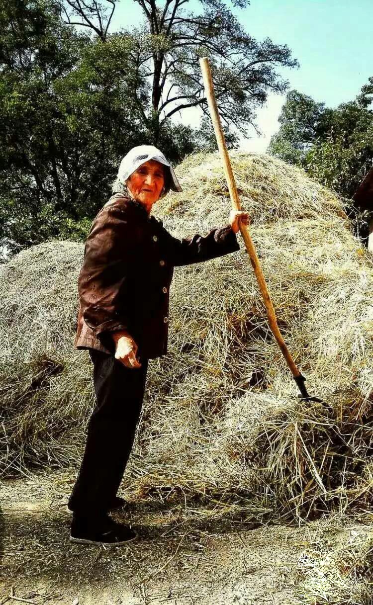 辛勤劳作默默奉献三八妇女节我们更应该感恩母亲姚忠智摄影