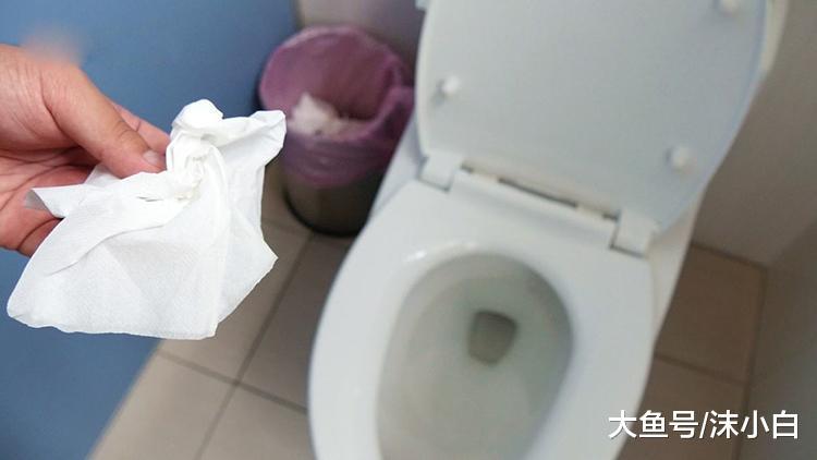 为什么外国人都把卫生纸丢马桶里? 现在才明白