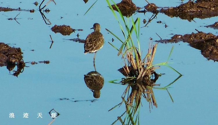 塞内加尔原生态风景神秘而令人向往