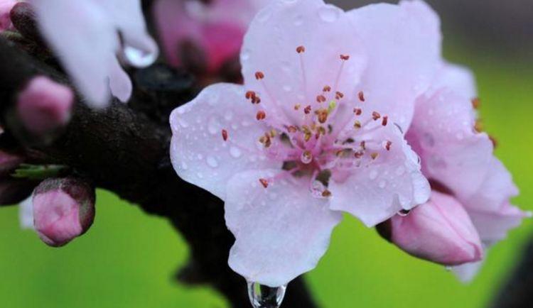 正桃花入命! 18年将迎来人生最强再婚之喜