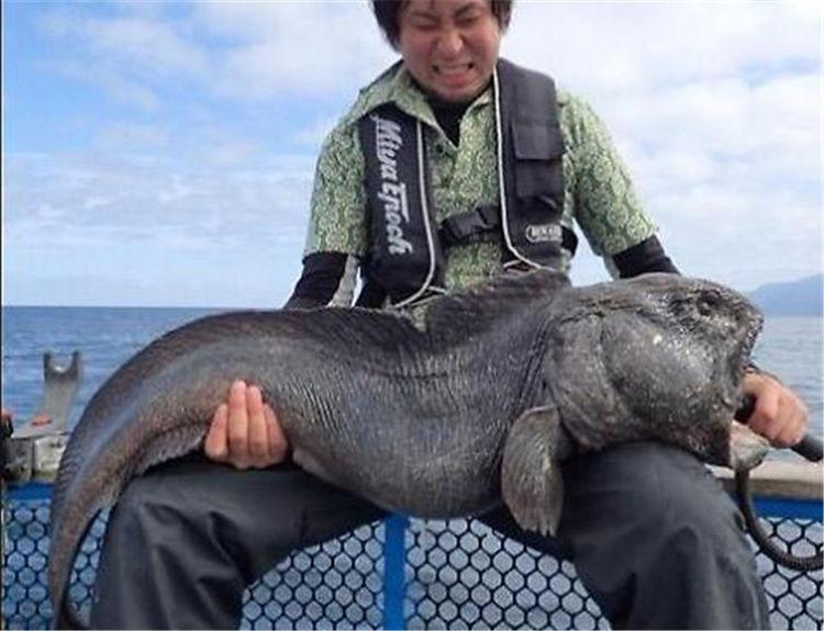 日本海底捕获的恐怖生物, "变异"完整或成"异形", 嘴大如鲨!