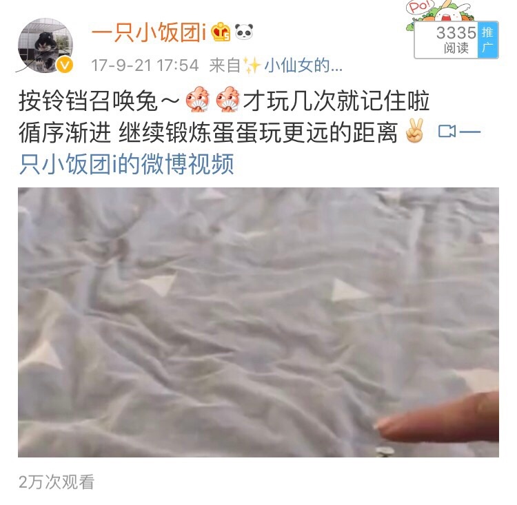 分享训练兔子听名字的小方法