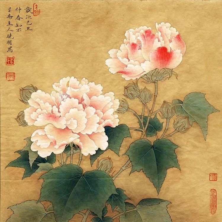 来岁,花开时节与谁来