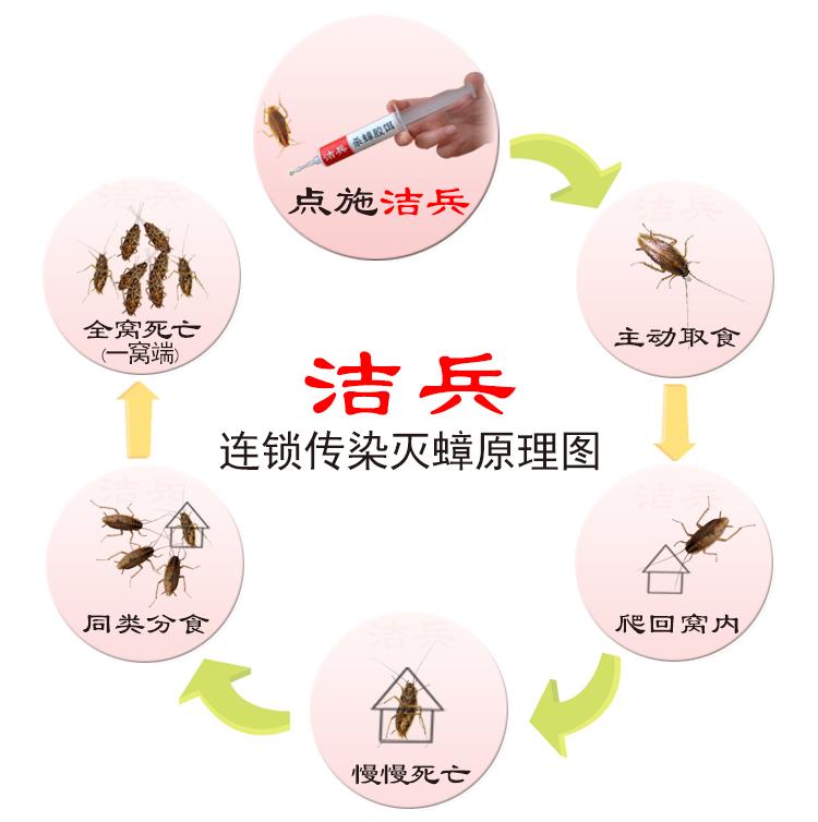 灭蟑螂最有效的药品牌