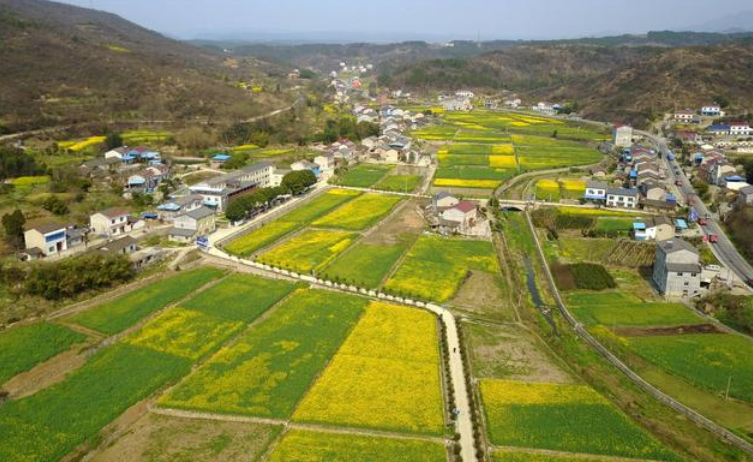 乡村振兴战略中,土地承包权人一定要掌握好原