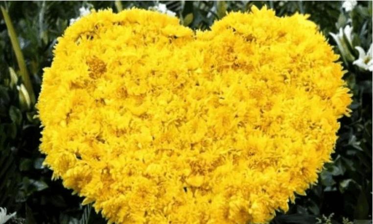 为英雄默哀,贵州军机坠毁,20多岁飞行员抛下两