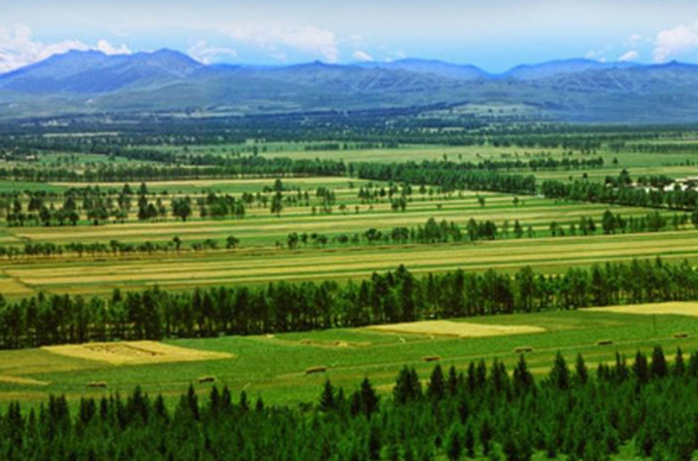 这里被誉为“中国的绿色长城” ，“世界生态工程之最”