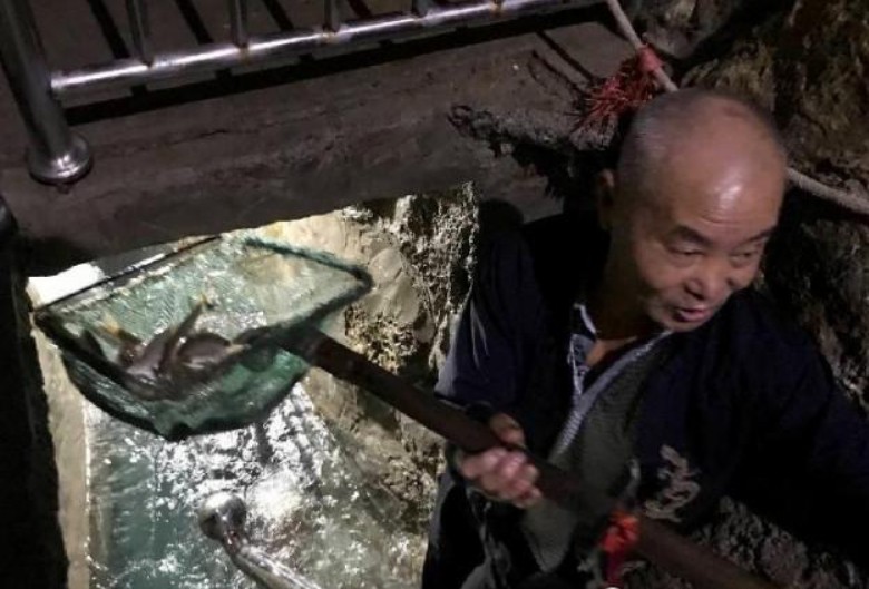 重庆巫溪，老人自家家里挖出神秘鱼泉，不断冒鱼