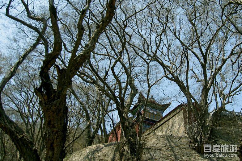 走进九女坟九女坟位于宿州市墉桥区褚兰镇夏疃村墓山孜北坡,是一座