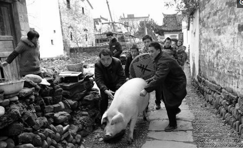 一组老照片还原80年代过年场景,杀年猪你还记