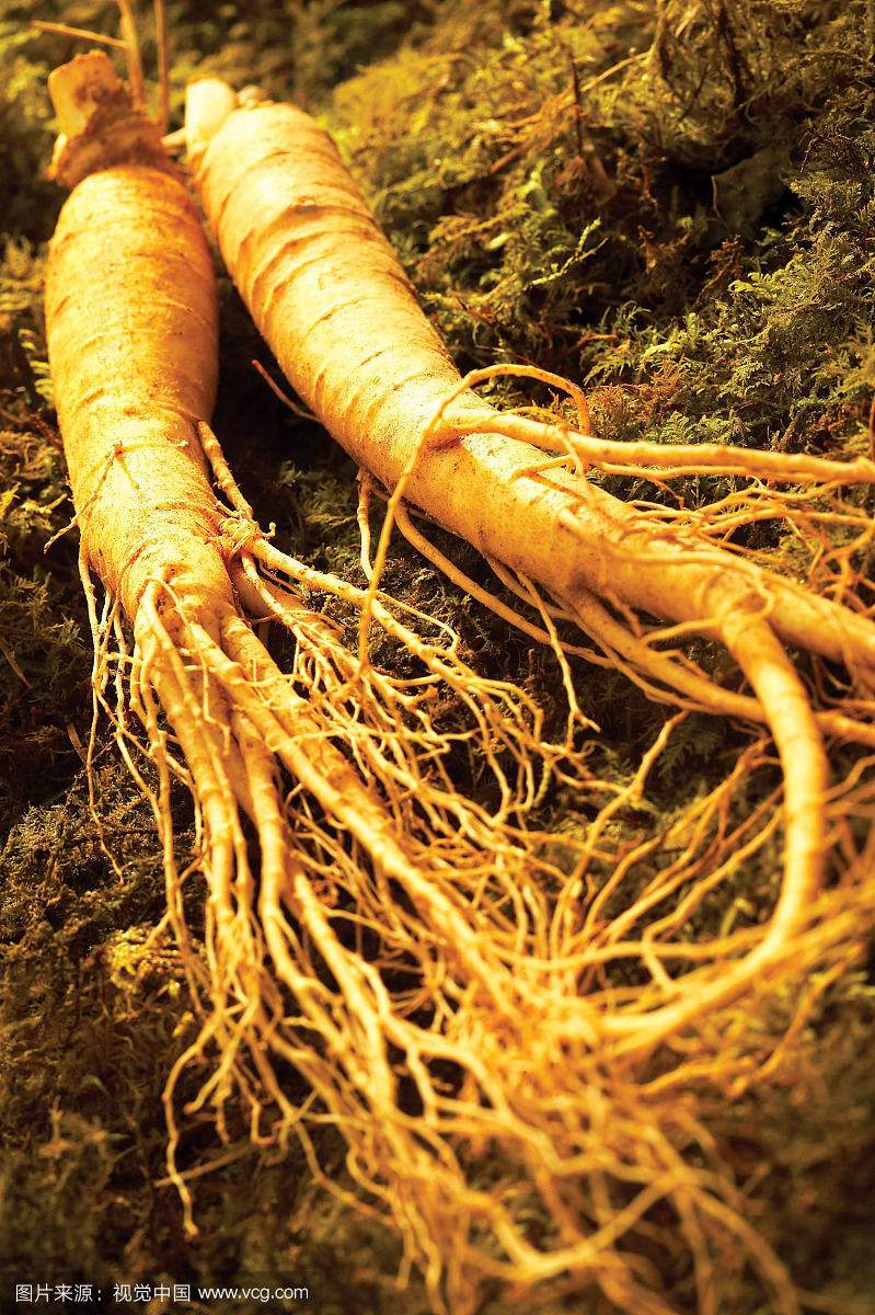 野山参表面发霉的东西可以吃吗_(野山参表面发霉的东西可以吃吗有毒吗