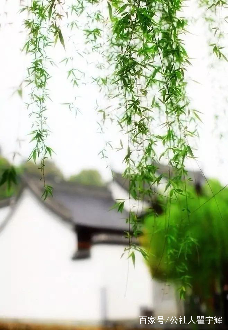 春天的脚步近了,淅沥的雨水来了,6首春雨古诗欣赏