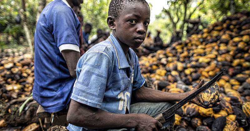 7个靠压榨非洲童工制造巧克力的国际知名品牌