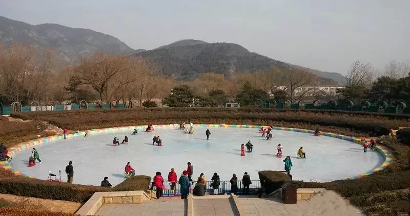 别再去雪乡挨宰了,京城49处冰雪场让你随便挑