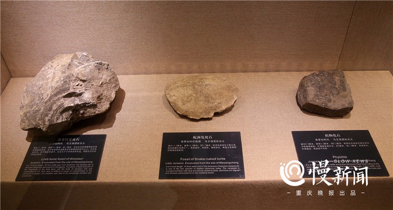 距今100万年 重庆主城人类文明发源地在马王场|重庆|博物馆|大渡口