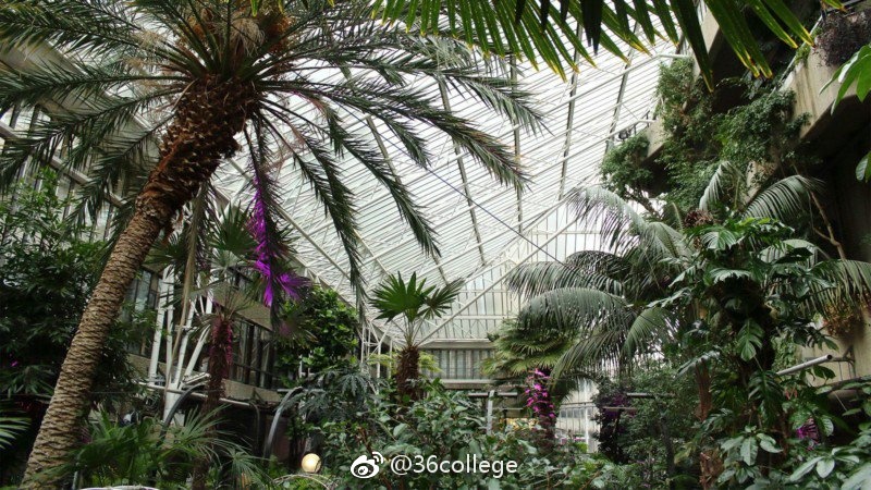 佳能本周发布最便宜的数码单反相机新款EOS