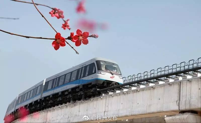 湖南组建磁浮集团打造全产业链