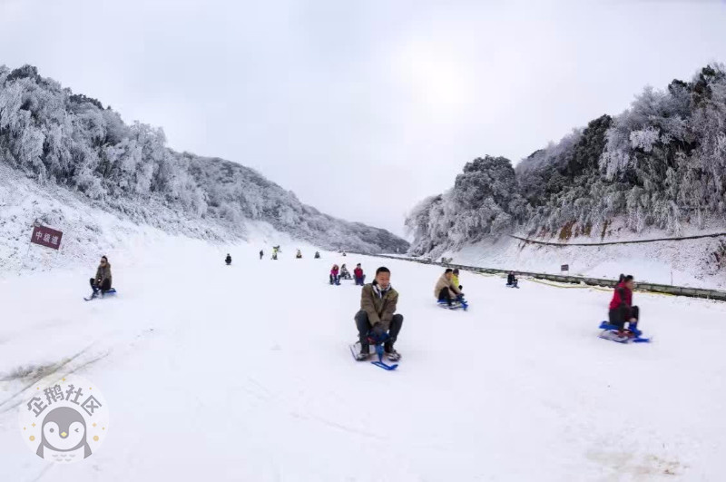 冬天怎么能错过耍雪 重庆周边10大滑雪场全攻略