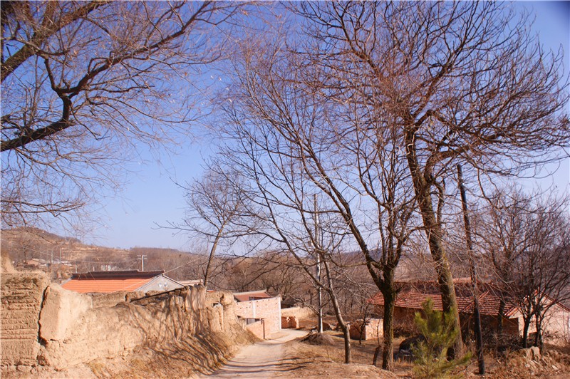 走进甘肃天水清水县土门镇梁山村,体验农村生活感受农村幸福
