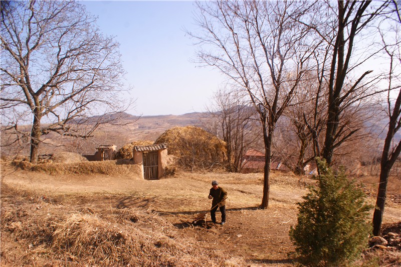 走进甘肃天水清水县土门镇梁山村,体验农村生活感受农村幸福