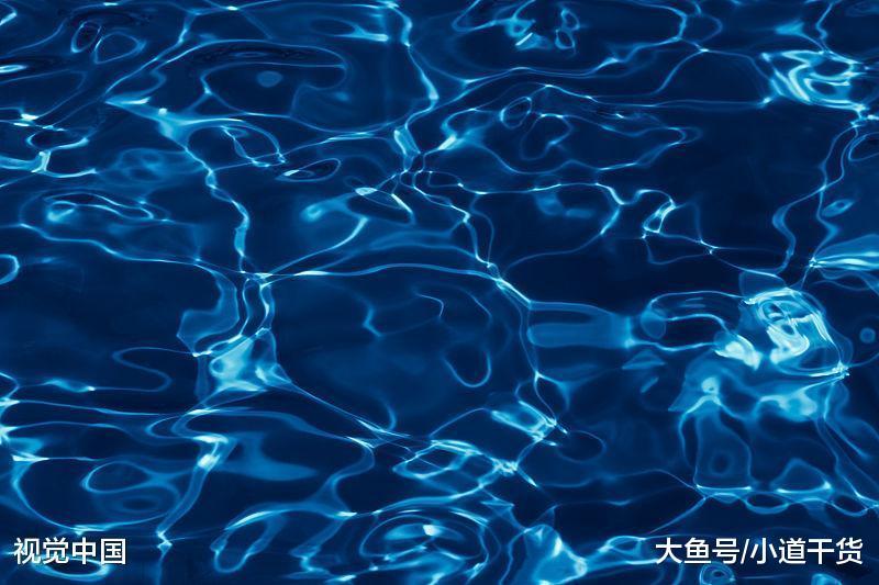 上海海洋大学pk广东海洋大学: 我的海洋谁做主