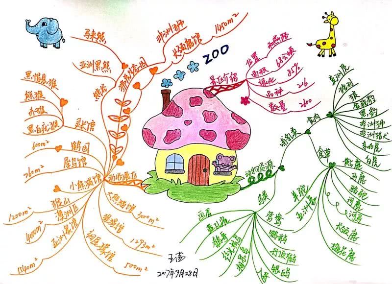 思维导图图片(手抄报)黑板报花边 板报设计思维导图()