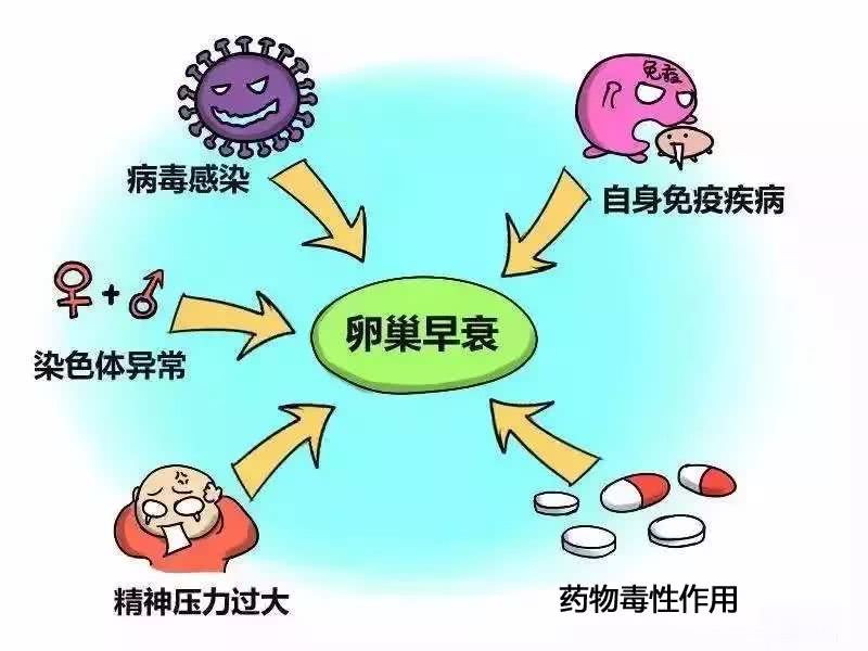 卵巢早衰啊