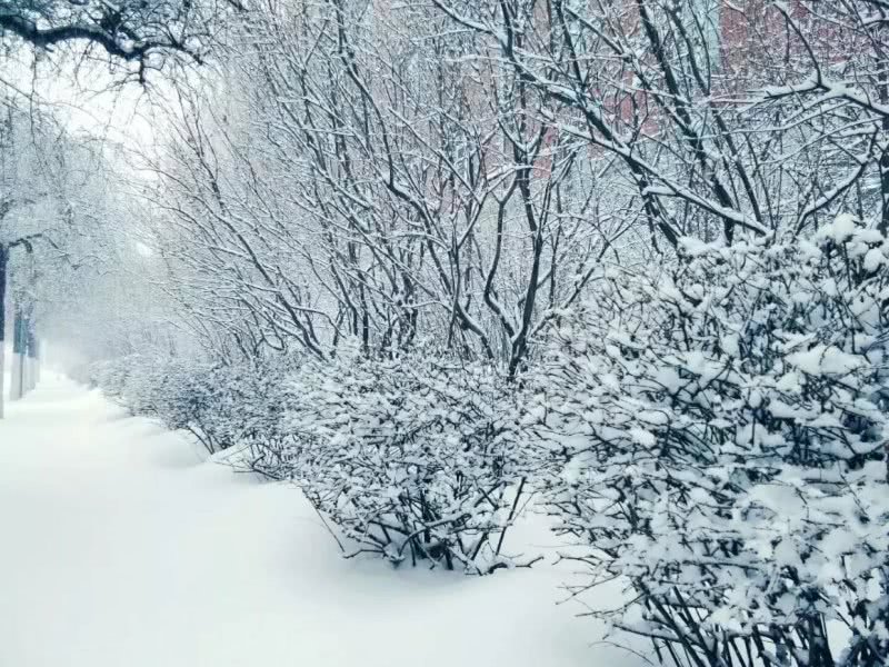 图片来自于东师青年 大家上路要注意雪天路滑,小心行走.