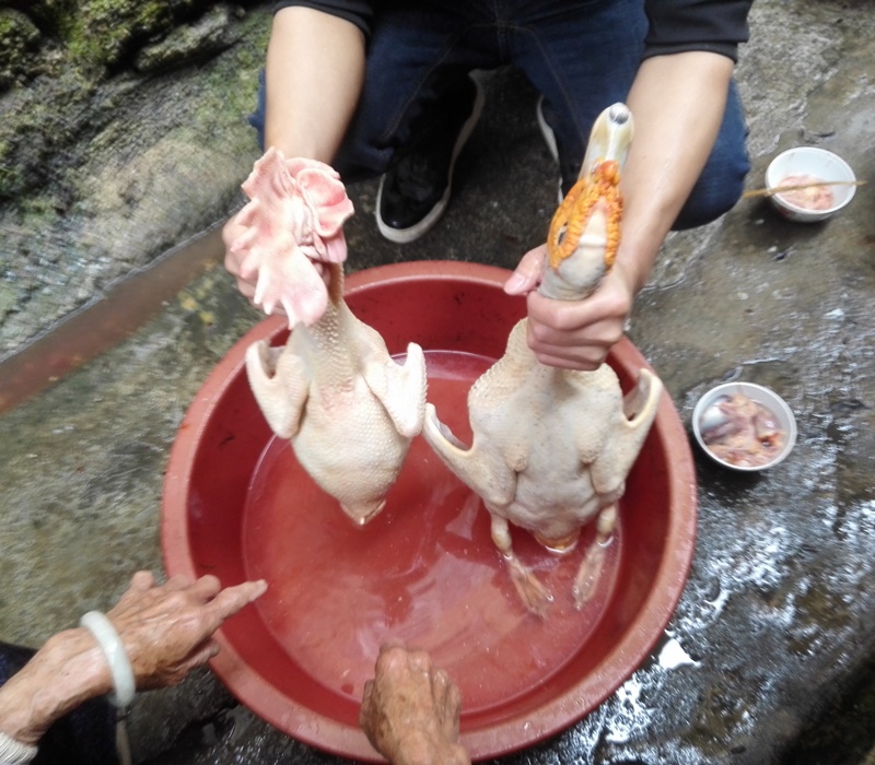 广西农村过新年:宰鸭宰鸡,那是平常不过的事情!