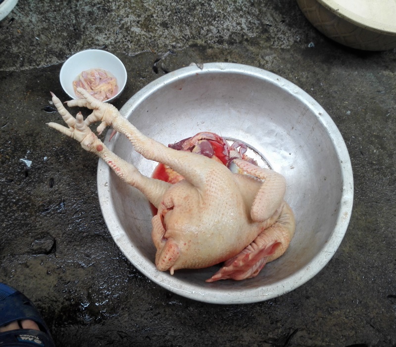 广西农村过新年:宰鸭宰鸡,那是平常不过的事情!
