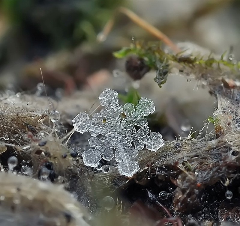 神奇的特殊雪花照片,天然造型