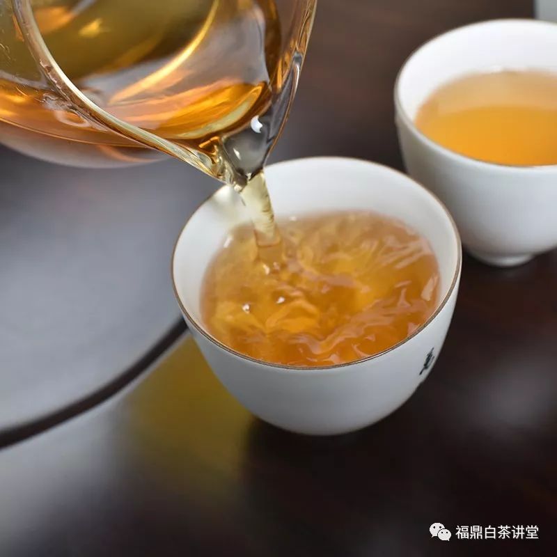 福鼎白茶讲堂陈韵花香白牡丹