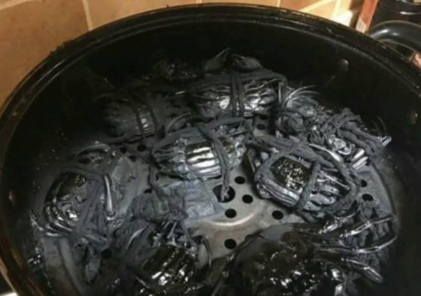 搞笑分享:有一个不会做饭却喜欢做饭的闺蜜是一种怎样