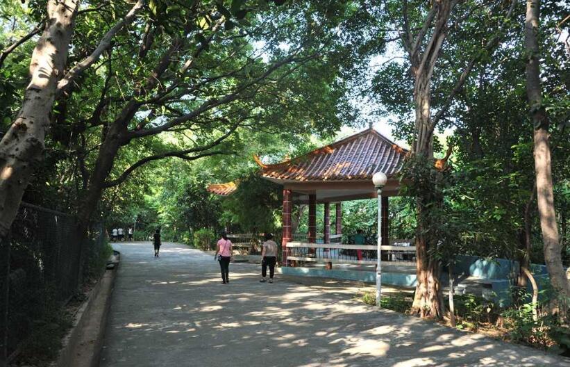 佛山有一座凤山, 是顺德大良最美的公园