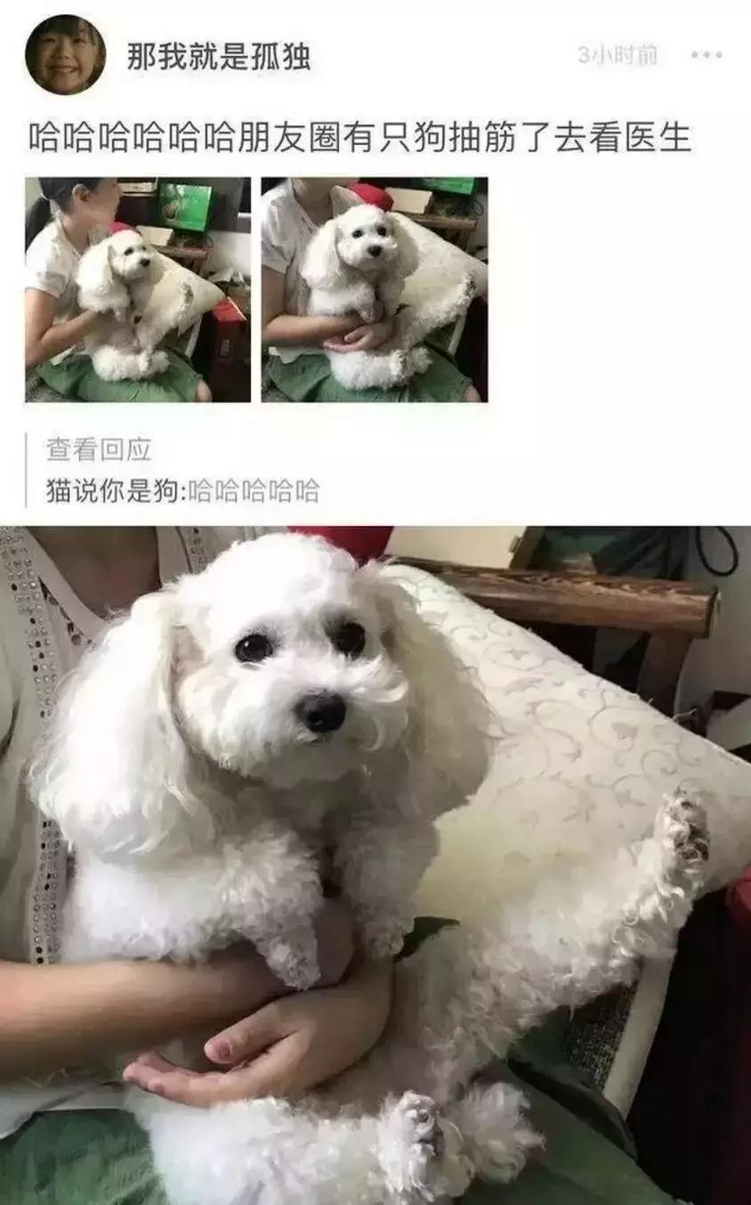 千万别删这些人的朋友圈! 哈哈哈哈哈哈哈哈哈