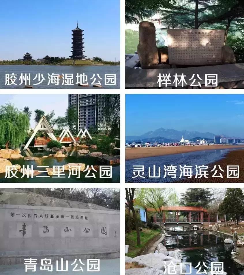 再有人问你青岛有什么好玩的，就把这条微信甩给他！