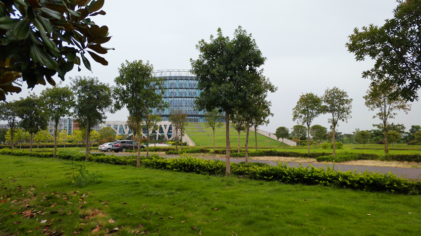 湖北省自称仅此于武大,全省第二美的高校,武大樱花被碾压