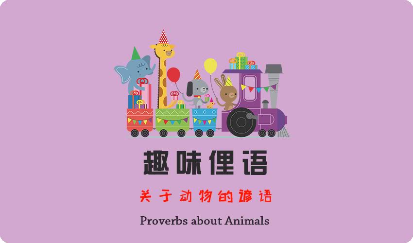 第4讲:关于动物的谚语(2)!