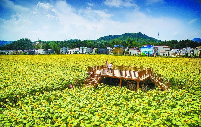 乡村振兴?模式篇