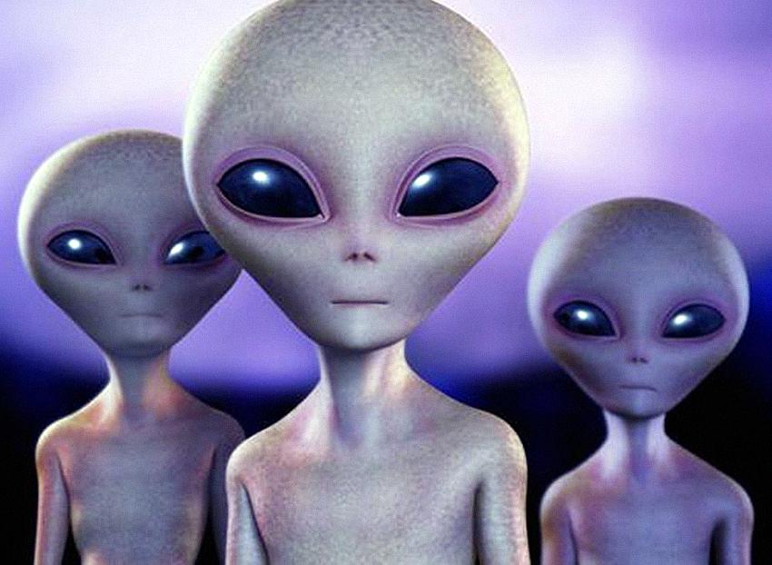 未来人类啥模样科学家很像现在看到的外星人