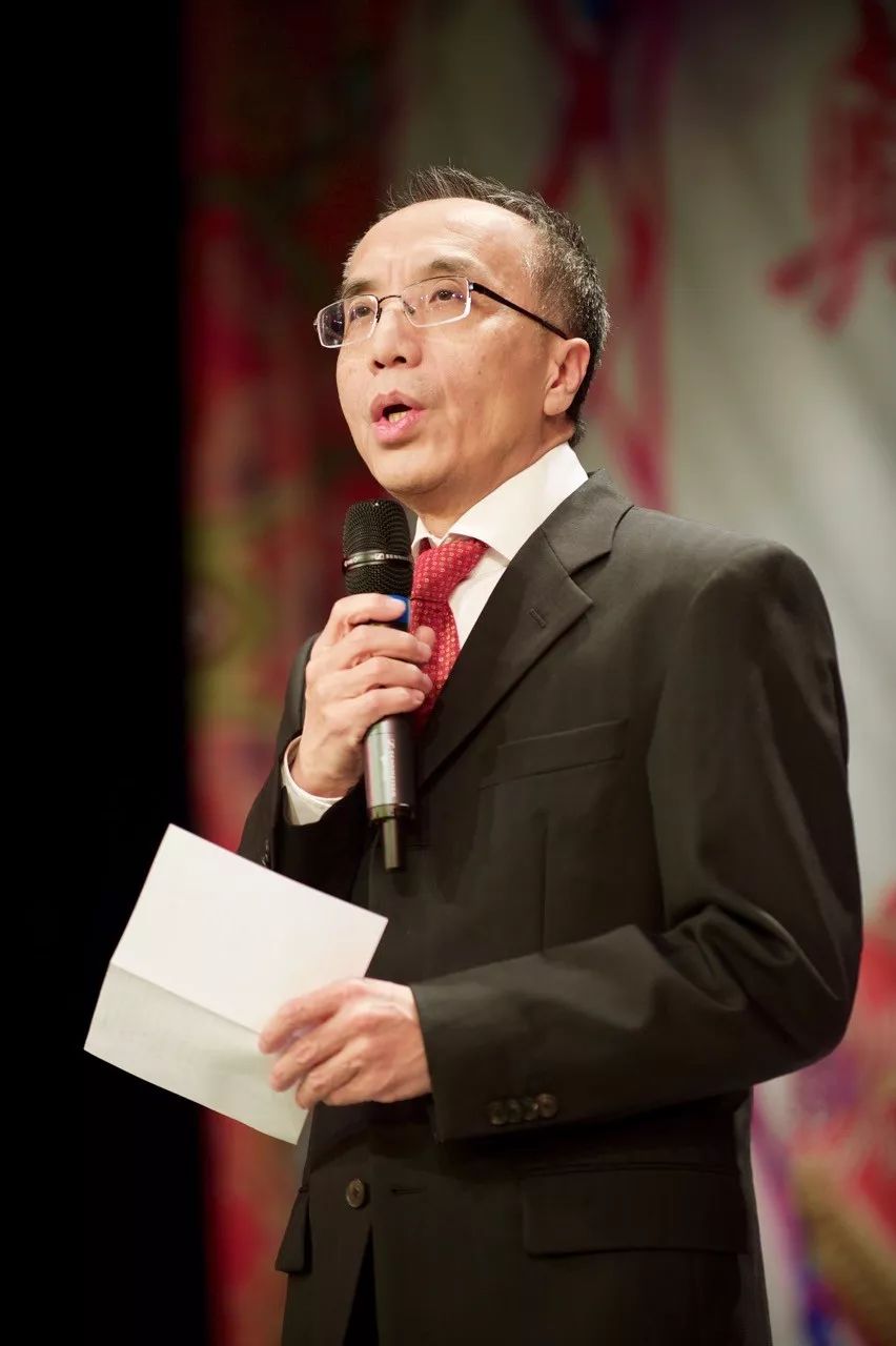 十年春晚初心不改,2018年奥地利华侨华人留学