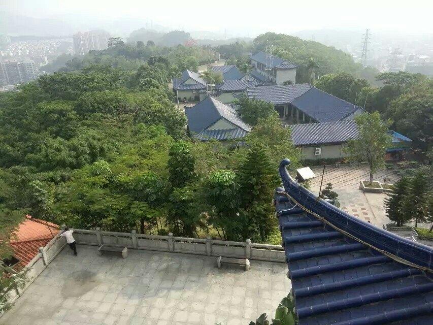 商业报道：东莞凤岗哪里妓婆多一点，如何识别和远离非法活动陷阱