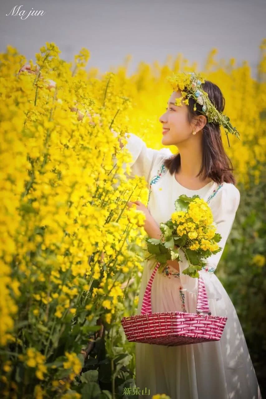 油菜花早已争相盛开,吸引俊男美女前去拍照~下面这组照片是我们新乐山