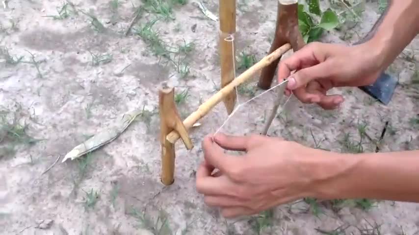 柬埔寨小哥用树枝和绳子制作陷阱,捉到一只大野鸭,高兴坏了