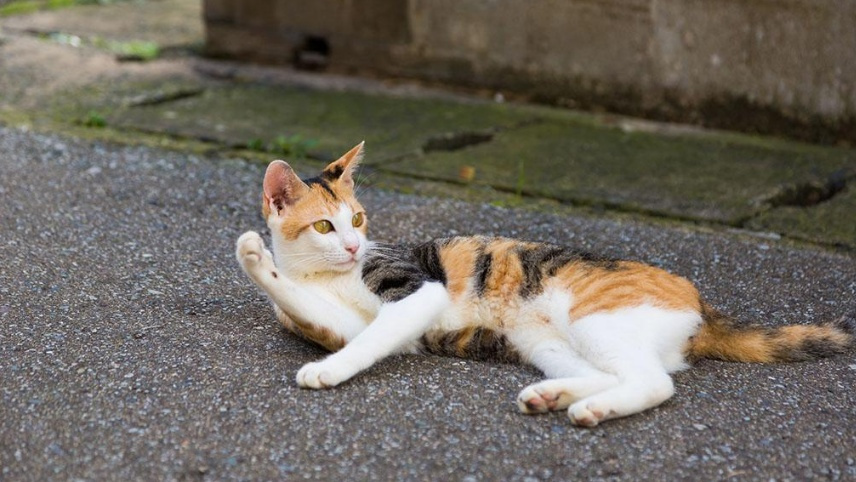 不可不知风水禁忌,家有这 10 物,必破财!不信你