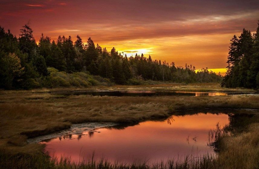 英国研究生学历认证成绩单不合格没顺利毕业怎