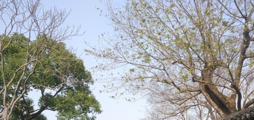 这里号称中国四大园林之首, 北方人来到这里就