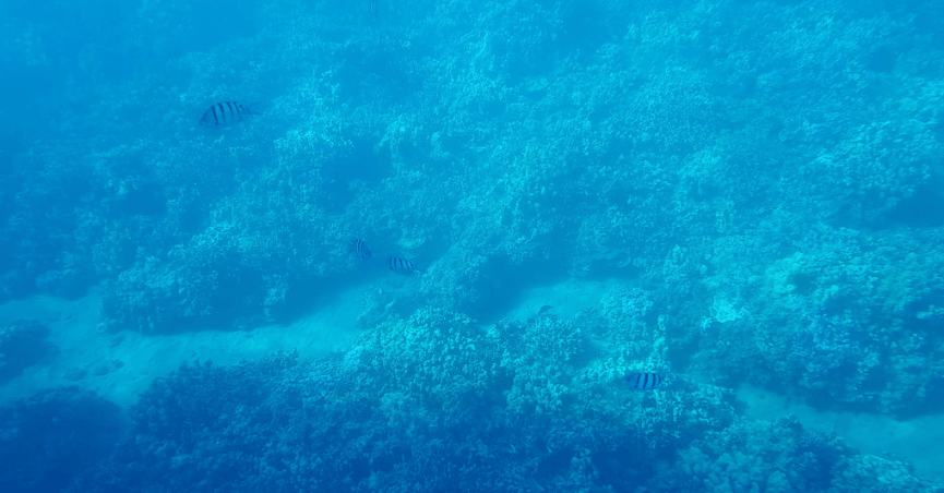 三星公开使用Galaxy Note8, 拍好照片的五个实