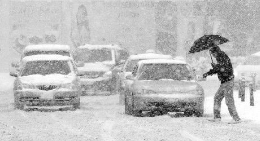 淘宝发布避冬地图,山东广州亮了,没屯秋裤的省